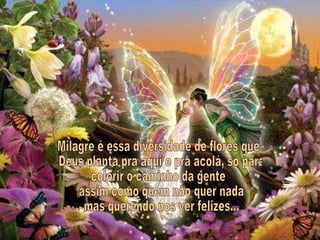 Milagre é essa diversidade de flores que Deus planta pra aqui e pra acolá, só para  colorir o caminho da gente assim como quem não quer nada mas querendo nos ver felizes... 