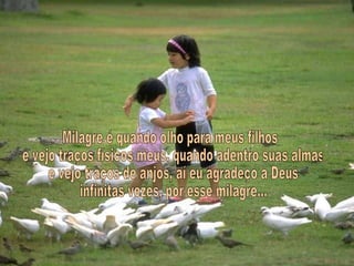 Milagre é quando olho para meus filhos e vejo traços físicos meus, quando adentro suas almas e vejo traços de anjos, aí eu agradeço a Deus infinitas vezes, por esse milagre... 