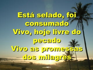 Está selado, foi
consumado
Vivo, hoje livre do
pecado
Vivo as promessas
dos milagres

 