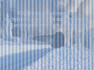 Milagre é a natureza que a neve mata ou o fogo destrói, ai nasce tudo de novo sem se importar se vai ser destruída novamente, acho esse milagre lindo! 