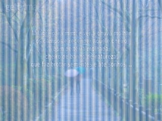 Milagre para mim, é ver a chuva molhar os campos e recender aquele cheiro bom de terra molhada, cheiro de banho de natureza, que faz brotar sementes e até sonhos.... 