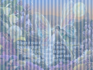 Milagre é essa diversidade de flores que Deus planta pra aqui e pra acolá, só para  colorir o caminho da gente assim como quem não quer nada mas querendo nos ver feliz.... 