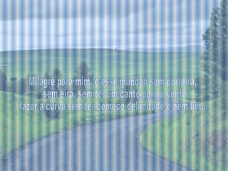 Milagre para mim, é esse mundão sem porteira, sem eira, sem ter um canto para o vento fazer a curva sem ter começo delimitado e nem fim.... 