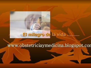 El milagro de la vida .......... www.obstetriciaymedicina.blogspot.com/ 