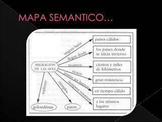 MAPA SEMANTICO…
