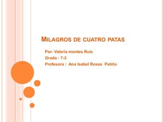 MILAGROS DE CUATRO PATAS
Por: Valeria montes Ruiz
Grado : 7-3
Profesora : Ana Isabel Rosas Patiño
 