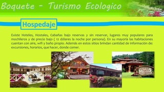 Existe Hoteles, Hostales, Cabañas bajo reservas y sin reservar, lugares muy populares para
mochileros y de precio bajo ( 12 dólares la noche por persona). En su mayoría las habitaciones
cuentan con aire, wifi y baño propio. Además en estos sitios brindan cantidad de información de:
excursiones, horarios, que hacer, donde comer.
 