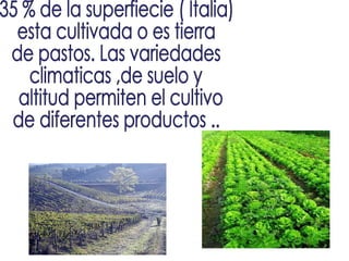 35 % de la superfiecie ( Italia)  esta cultivada o es tierra  de pastos. Las variedades  climaticas ,de suelo y altitud permiten el cultivo  de diferentes productos ..  