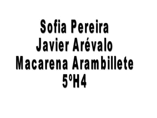 Sofia Pereira  Javier Arévalo  Macarena Arambillete  5ºH4 