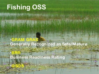 Fishing OSS <ul><li>GRAM GRAS </li></ul><ul><li>Generally Recognized as Safe/Mature </li></ul><ul><li>BRR Business Readine...