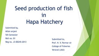 Seed production of fish
in
Hapa Hatchery
Submitted by,
Milan anjani
5th Semester
Roll no. 01
Reg no. J3-00245-2013
Submitted to,
Prof. H. V. Parmar sir
College of Fisheries
Veraval (JAU)
 
