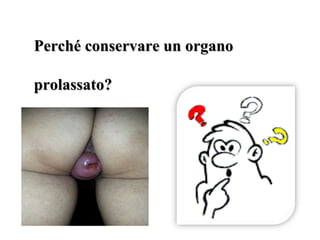 Perché conservare un organoPerché conservare un organo
prolassato?prolassato?
 