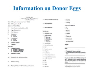 Information on Donor Eggs
 