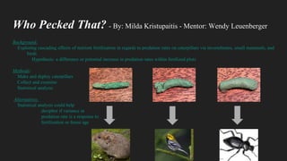 Who Pecked That? - By: Milda Kristupaitis - Mentor: Wendy Leuenberger
Background:
Exploring cascading effects of nutrient ...