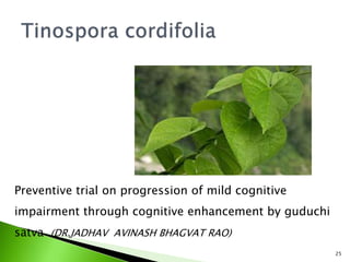 25
Preventive trial on progression of mild cognitive
impairment through cognitive enhancement by guduchi
satva (DR.JADHAV AVINASH BHAGVAT RAO)
 