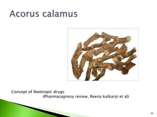 30
Concept of Nootropic drugs
(Pharmacognosy review, Reena kulkarni et al)
 