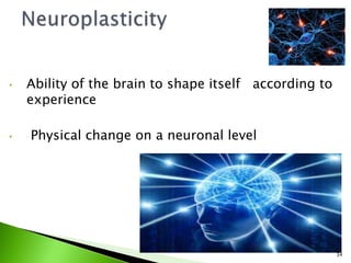 • Ability of the brain to shape itself according to
experience
• Physical change on a neuronal level
34
 