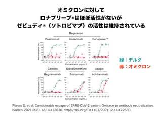 オミクロンに対して
ロナプリーブ®はほぼ活性がないが
ゼビュディ®（ソトロビマブ）の活性は維持されている
10-2 10-1 100 101 102 103 104
-20
0
20
40
60
80
100
120
Regeneron
Casirivimab Imdevimab RonapreveTM
10-2 10-1 100 101 102 103 104
-20
0
20
40
60
80
100
120
10-2 10-1 100 101 102 103 104
-20
0
20
40
60
80
100
120
Regdanvimab
Celltrion
10-2 10-1 100 101 102 103 104
-20
0
20
40
60
80
100
120
Sotrovimab
GlaxoSmithKline
10-2 10-1 100 101 102 103 104
-20
0
20
40
60
80
100
120
Adintrevimab
Adagio
10-2 10-1 100 101 102 103 104
-20
0
20
40
60
80
100
120
Concentration (ng/mL)
Concentration (ng/mL)
Neutralization
(%)
Neutralization
(%)
緑：デルタ
赤：オミクロン
Planas D, et al. Considerable escape of SARS-CoV-2 variant Omicron to antibody neutralization.
bioRxiv 2021:2021.12.14.472630. https://doi.org/10.1101/2021.12.14.472630.
 