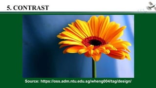 Source: https://oss.adm.ntu.edu.sg/wheng004/tag/design/
5. CONTRAST
 