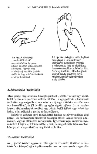Talp Rajz Mildred carter-tammy-weber-talpmasszazs | PDF