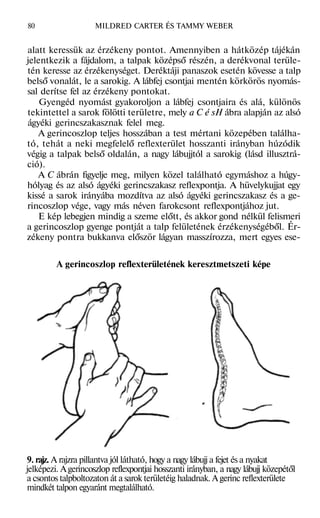 Talp Rajz Mildred carter-tammy-weber-talpmasszazs | PDF