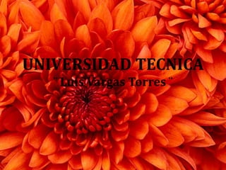 UNIVERSIDAD TECNICA
¨ Luis Vargas Torres ¨
 