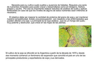 Necesita para su cultivo suelo sueltos y ausencia de heladas. Requiere una serie
de nutrientes minerales para poder crecer y desarrollarse como el nitrógeno, fósforo,
potasio y azufre. Por eso es importante realizar estudios de análisis de suelo y aplicar
fertilizantes en caso de que los niveles de alguno de estos nutrientes sean inferiores al
necesario.
El objetivo debe ser mejorar la cantidad de proteína del grano de soja y así mantener
nuestra competitividad. Existe una preocupación con respecto a las enfermedades que
pueden afectar a la soja. La principal es la roya asiática , que es un hongo del suelo,
muy potente y destructor, que crece en las hojas de las plantas.
El cultivo de la soja se difundió en la Argentina a partir de la década de 1970 y desde
ese momento comenzó un fenómeno de expansión que convirtió el país en uno de los
principales productores y exportadores de soja y sus derivados.
 