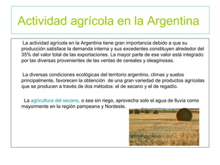 Actividad agrícola en la Argentina
La actividad agrícola en la Argentina tiene gran importancia debido a que su
producción satisface la demanda interna y sus excedentes constituyen alrededor del
35% del valor total de las exportaciones. La mayor parte de ese valor está integrado
por las diversas provenientes de las ventas de cereales y oleaginosas.
La diversas condiciones ecológicas del territorio argentino, climas y suelos
principalmente, favorecen la obtención de una gran variedad de productos agrícolas
que se producen a través de dos métodos: el de secano y el de regadío.
La agricultura del secano, o sea sin riego, aprovecha solo el agua de lluvia como
mayormente en la región pampeana y Nordeste.
 