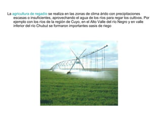 La agricultura de regadío se realiza en las zonas de clima árido con precipitaciones
escasas o insuficientes, aprovechando el agua de los ríos para regar los cultivos. Por
ejemplo con los ríos de la región de Cuyo, en el Alto Valle del río Negro y en valle
inferior del río Chubut se formaron importantes oasis de riego
 