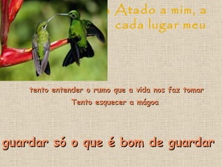 Sei de cor cada lugar teu Atado a mim, a cada lugar meu tento entender o rumo que a vida nos faz tomar Tento esquecer a mágoa guardar só o que é bom de guardar 