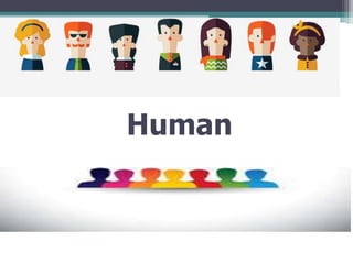Human
 
