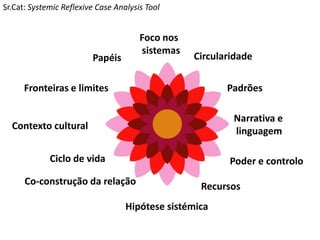 Foco nos sistemas 
Circularidade 
Padrões 
Narrativa e 
linguagem 
Poder e controlo 
Papéis 
Fronteiras e limites 
Contexto cultural 
Ciclo de vida 
Co-construção da relação 
Recursos 
Hipótese sistémica 
Sr.Cat: Systemic Reflexive Case Analysis Tool  
