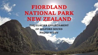 THE GLACIER ENVIRONMENT
OF MILFORD SOUND
PHOTO STUDY
 