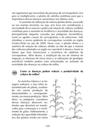 139
são organismos que necessitam da presença de um hospedeiro vivo
para se multiplicarem, o plantio de safrinha contribuiu para que a
importância dessas doenças aumentasse nos últimos anos.
	 O aumento da utilização do sistema plantio direto, associado
ao seu manejo incorreto, ou seja, sem levar em consideração a
necessidade de se associar a prática de rotação de culturas, também
contribuiu para o aumento na incidência e severidade das doenças,
principalmente daquelas causadas por patógenos necrotróficos,
como os agentes causais da cercosporiose e da antracnose. Vale
relembrar a severa epidemia de cercosporiose ocorrida na região
Centro-Oeste no ano de 2000. Nesse caso, o plantio direto e a
ausência de rotação de culturas, aliados ao fato de que a maioria
das cultivares plantadas na região era suscetível à doença, foram os
fatores que mais favoreceram a ocorrência da epidemia de
cercosporiose. Além desses, a ampliação do uso de sistemas de
irrigação, as aberturas de novas áreas e as utilizações de genótipos
suscetíveis também podem estar relacionados ao aumento da
severidade das doenças na cultura do milho.
Como as doenças podem reduzir a produtividade da
cultura do milho?
As manchas foliares e as fer-
rugens reduzem a área foliar fo-
tossintetizante da planta, resultan-
do em menor produção de
fotoassimilados e, consequente-
mente, em menor produção. Além
disso, os patógenos causadores
dessas doenças absorvem nu-
trientes que deveriam ser translo-
cados para a formação e o enchi-
mento de grãos. Indiretamente, a
redução da capacidade fotossinté-
tica das plantas resulta em maior
193
 