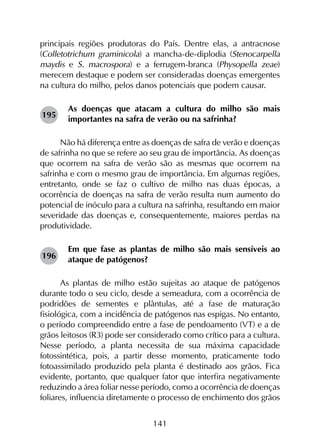 141
principais regiões produtoras do País. Dentre elas, a antracnose
(Colletotrichum graminicola) a mancha-de-diplodia (Stenocarpella
maydis e S. macrospora) e a ferrugem-branca (Physopella zeae)
merecem destaque e podem ser consideradas doenças emergentes
na cultura do milho, pelos danos potenciais que podem causar.
As doenças que atacam a cultura do milho são mais
importantes na safra de verão ou na safrinha?
Não há diferença entre as doenças de safra de verão e doenças
de safrinha no que se refere ao seu grau de importância. As doenças
que ocorrem na safra de verão são as mesmas que ocorrem na
safrinha e com o mesmo grau de importância. Em algumas regiões,
entretanto, onde se faz o cultivo de milho nas duas épocas, a
ocorrência de doenças na safra de verão resulta num aumento do
potencial de inóculo para a cultura na safrinha, resultando em maior
severidade das doenças e, consequentemente, maiores perdas na
produtividade.
Em que fase as plantas de milho são mais sensíveis ao
ataque de patógenos?
As plantas de milho estão sujeitas ao ataque de patógenos
durante todo o seu ciclo, desde a semeadura, com a ocorrência de
podridões de sementes e plântulas, até a fase de maturação
fisiológica, com a incidência de patógenos nas espigas. No entanto,
o período compreendido entre a fase de pendoamento (VT) e a de
grãos leitosos (R3) pode ser considerado como crítico para a cultura.
Nesse período, a planta necessita de sua máxima capacidade
fotossintética, pois, a partir desse momento, praticamente todo
fotoassimilado produzido pela planta é destinado aos grãos. Fica
evidente, portanto, que qualquer fator que interfira negativamente
reduzindo a área foliar nesse período, como a ocorrência de doenças
foliares, influencia diretamente o processo de enchimento dos grãos
195
196
 