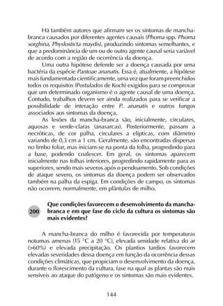 144
Há também autores que afirmam ser os sintomas de mancha-
branca causados por diferentes agentes causais (Phoma spp. Phoma
sorghina, Physlosticta maydis), produzindo sintomas semelhantes, e
que a predominância de um ou de outro agente causal seria variável
de acordo com a região de ocorrência da doença.
Uma outra hipótese defende ser a doença causada por uma
bactéria da espécie Pantoae ananatis. Essa é, atualmente, a hipótese
mais fundamentada cientificamente, uma vez que foram preenchidos
todos os requisitos (Postulados de Koch) exigidos para se comprovar
que um determinado organismo é o agente causal de uma doença.
Contudo, trabalhos devem ser ainda realizados para se verificar a
possibilidade de interação entre P. ananatis e outros fungos
associados aos sintomas da doença.
As lesões da mancha-branca são, inicialmente, circulares,
aquosas e verde-claras (anasarcas). Posteriormente, passam a
necróticas, de cor palha, circulares a elípticas, com diâmetro
variando de 0,3 cm a 1 cm. Geralmente, são encontradas dispersas
no limbo foliar, mas iniciam-se na ponta da folha, progredindo para
a base, podendo coalescer. Em geral, os sintomas aparecem
inicialmente nas folhas inferiores, progredindo rapidamente para as
superiores, sendo mais severos após o pendoamento. Sob condições
de ataque severo, os sintomas da doença podem ser observados
também na palha da espiga. Em condições de campo, os sintomas
não ocorrem, normalmente, em plântulas de milho.
Que condições favorecem o desenvolvimento da mancha-
branca e em que fase do ciclo da cultura os sintomas são
mais evidentes?
A mancha-branca do milho é favorecida por temperaturas
noturnas amenas (15 °C a 20 °C), elevada umidade relativa do ar
(>60%) e elevada precipitação. Os plantios tardios favorecem
elevadas severidades dessa doença em função da ocorrência dessas
condições climáticas, que propiciam o desenvolvimento da doença,
durante o florescimento da cultura, fase na qual as plantas são mais
sensíveis ao ataque do patógeno e os sintomas são mais evidentes.
200
 