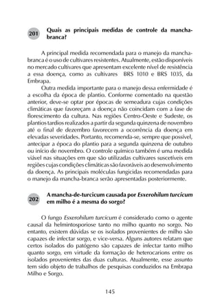 145
Quais as principais medidas de controle da mancha-
branca?
A principal medida recomendada para o manejo da mancha-
branca é o uso de cultivares resistentes. Atualmente, estão disponíveis
no mercado cultivares que apresentam excelente nível de resistência
a essa doença, como as cultivares BRS 1010 e BRS 1035, da
Embrapa.
Outra medida importante para o manejo dessa enfermidade é
a escolha da época de plantio. Conforme comentado na questão
anterior, deve-se optar por épocas de semeadura cujas condições
climáticas que favoreçam a doença não coincidam com a fase de
florescimento da cultura. Nas regiões Centro-Oeste e Sudeste, os
plantios tardios realizados a partir da segunda quinzena de novembro
até o final de dezembro favorecem a ocorrência da doença em
elevadas severidades. Portanto, recomenda-se, sempre que possível,
antecipar a época do plantio para a segunda quinzena de outubro
ou início de novembro. O controle químico também é uma medida
viável nas situações em que são utilizadas cultivares suscetíveis em
regiõescujascondiçõesclimáticassãofavoráveisaodesenvolvimento
da doença. As principais moléculas fungicidas recomendadas para
o manejo da mancha-branca serão apresentadas posteriormente.
A mancha-de-turcicum causada por Esxerohilum turcicum
em milho é a mesma do sorgo?
O fungo Esxerohilum turcicum é considerado como o agente
causal da helmintosporiose tanto no milho quanto no sorgo. No
entanto, existem dúvidas se os isolados provenientes de milho são
capazes de infectar sorgo, e vice-versa. Alguns autores relatam que
certos isolados do patógeno são capazes de infectar tanto milho
quanto sorgo, em virtude da formação de heterocarions entre os
isolados provenientes das duas culturas. Atualmente, esse assunto
tem sido objeto de trabalhos de pesquisas conduzidos na Embrapa
Milho e Sorgo.
201
202
 