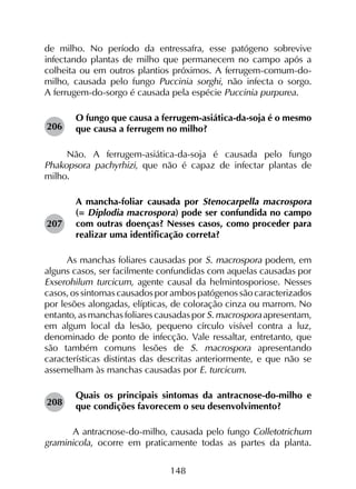148
de milho. No período da entressafra, esse patógeno sobrevive
infectando plantas de milho que permanecem no campo após a
colheita ou em outros plantios próximos. A ferrugem-comum-do-
milho, causada pelo fungo Puccinia sorghi, não infecta o sorgo.
A ferrugem-do-sorgo é causada pela espécie Puccinia purpurea.
O fungo que causa a ferrugem-asiática-da-soja é o mesmo
que causa a ferrugem no milho?
Não. A ferrugem-asiática-da-soja é causada pelo fungo
Phakopsora pachyrhizi, que não é capaz de infectar plantas de
milho.
A mancha-foliar causada por Stenocarpella macrospora
(= Diplodia macrospora) pode ser confundida no campo
com outras doenças? Nesses casos, como proceder para
realizar uma identificação correta?
As manchas foliares causadas por S. macrospora podem, em
alguns casos, ser facilmente confundidas com aquelas causadas por
Exserohilum turcicum, agente causal da helmintosporiose. Nesses
casos, os sintomas causados por ambos patógenos são caracterizados
por lesões alongadas, elípticas, de coloração cinza ou marrom. No
entanto, as manchas foliares causadas por S. macrospora apresentam,
em algum local da lesão, pequeno círculo visível contra a luz,
denominado de ponto de infecção. Vale ressaltar, entretanto, que
são também comuns lesões de S. macrospora apresentando
características distintas das descritas anteriormente, e que não se
assemelham às manchas causadas por E. turcicum.
Quais os principais sintomas da antracnose-do-milho e
que condições favorecem o seu desenvolvimento?
	 A antracnose-do-milho, causada pelo fungo Colletotrichum
graminicola, ocorre em praticamente todas as partes da planta.
206
207
208
 