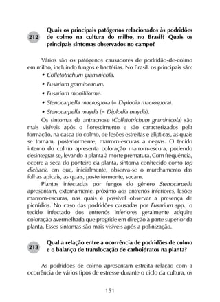 151
Quais os principais patógenos relacionados às podridões
de colmo na cultura do milho, no Brasil? Quais os
principais sintomas observados no campo?
Vários são os patógenos causadores de podridão-de-colmo
em milho, incluindo fungos e bactérias. No Brasil, os principais são:
•	Colletotrichum graminicola.
•	Fusarium graminearum.
•	Fusarium moniliforme.
•	Stenocarpella macrospora (= Diplodia macrospora).
•	Stenocarpella maydis (= Diplodia maydis).
Os sintomas da antracnose (Colletotrichum graminicola) são
mais visíveis após o florescimento e são caracterizados pela
formação, na casca do colmo, de lesões estreitas e elípticas, as quais
se tornam, posteriormente, marrom-escuras a negras. O tecido
interno do colmo apresenta coloração marrom-escura, podendo
desintegrar-se, levando a planta à morte prematura. Com frequência,
ocorre a seca do ponteiro da planta, sintoma conhecido como top
dieback, em que, inicialmente, observa-se o murchamento das
folhas apicais, as quais, posteriormente, secam.
Plantas infectadas por fungos do gênero Stenocarpella
apresentam, externamente, próximo aos entrenós inferiores, lesões
marrom-escuras, nas quais é possível observar a presença de
picnídios. No caso das podridões causadas por Fusarium spp., o
tecido infectado dos entrenós inferiores geralmente adquire
coloração avermelhada que progride em direção à parte superior da
planta. Esses sintomas são mais visíveis após a polinização.
Qual a relação entre a ocorrência de podridões de colmo
e o balanço de translocação de carboidratos na planta?
As podridões de colmo apresentam estreita relação com a
ocorrência de vários tipos de estresse durante o ciclo da cultura, os
212
213
 