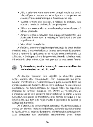 156
•	Utilizar cultivares com maior nível de resistência aos princi-
pais patógenos que atacam as espigas, como os pertencen-
tes aos gêneros Fusarium spp. e Stenocarpella spp.
•	Realizar, sempre que possível, a rotação de culturas, para
reduzir o potencial de inóculo dos patógenos.
•	Utilizar sementes sadias e densidade de plantio adequada à
cultivar plantada.
•	Dar preferência a cultivares com espigas decumbentes (que
viram para baixo após a maturação fisiológica) e de bom
empalhamento.
•	Evitar atraso na colheita.
A eficiência do controle químico para manejo de grãos ardidos
em milho ainda é motivo de dúvidas quanto à eficiência de produtos,
época e número de aplicações e sua relação com a resistência das
cultivares. A Embrapa Milho e Sorgo vem realizando trabalhos nessa
linha visando obter informações mais precisas quanto a esses fatores.
Quais os riscos, à saúde humana, do consumo de alimentos
contaminados com micotoxinas?
As doenças causadas pela ingestão de alimentos (grãos,
rações, carnes, etc.) contaminados com micotoxinas são deno­
minadas micotoxicoses. As micotoxicoses podem causar, tanto em
animais quanto no homem, danos como redução no crescimento,
interferência no funcionamento de órgãos vitais do organismo,
produção de tumores malignos, etc. Dentre as micotoxinas, as
aflotoxinas são as que possuem maior potencial de danos à saúde
humana. Outro grupo de micotoxinas que merece destaque é o das
fumonisinas, que têm sido relacionadas à ocorrência de câncer de
esôfago em humanos.
As aflatoxinas se destacam por apresentar alta toxidez aguda e
crônica em animais, incluindo o homem, podendo ocasionar danos
nofígado,cirroses,induçãodetumores,alémdeefeitosteratogênicos.
Esses compostos são produzidos naturalmente pelos fungos
219
 