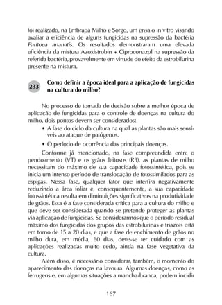 167
foi realizado, na Embrapa Milho e Sorgo, um ensaio in vitro visando
avaliar a eficiência de alguns fungicidas na supressão da bactéria
Pantoea ananatis. Os resultados demonstraram uma elevada
eficiência da mistura Azoxistrobin + Ciproconazol na supressão da
referida bactéria, provavelmente em virtude do efeito da estrobilurina
presente na mistura.
Como definir a época ideal para a aplicação de fungicidas
na cultura do milho?
No processo de tomada de decisão sobre a melhor época de
aplicação de fungicidas para o controle de doenças na cultura do
milho, dois pontos devem ser considerados:
•	A fase do ciclo da cultura na qual as plantas são mais sensí-
veis ao ataque de patógenos.
•	O período de ocorrência das principais doenças.
Conforme já mencionado, na fase compreendida entre o
pendoamento (VT) e os grãos leitosos (R3), as plantas de milho
necessitam do máximo de sua capacidade fotossintética, pois se
inicia um intenso período de translocação de fotossimilados para as
espigas. Nessa fase, qualquer fator que interfira negativamente
reduzindo a área foliar e, consequentemente, a sua capacidade
fotossintética resulta em diminuições significativas na produtividade
de grãos. Essa é a fase considerada crítica para a cultura do milho e
que deve ser considerada quando se pretende proteger as plantas
via aplicação de fungicidas. Se considerarmos que o período residual
máximo dos fungicidas dos grupos das estrobilurinas e triazois está
em torno de 15 a 20 dias, e que a fase de enchimento de grãos no
milho dura, em média, 60 dias, deve-se ter cuidado com as
aplicações realizadas muito cedo, ainda na fase vegetativa da
cultura.
Além disso, é necessário considerar, também, o momento do
aparecimento das doenças na lavoura. Algumas doenças, como as
ferrugens e, em algumas situações a mancha-branca, podem incidir
233
 