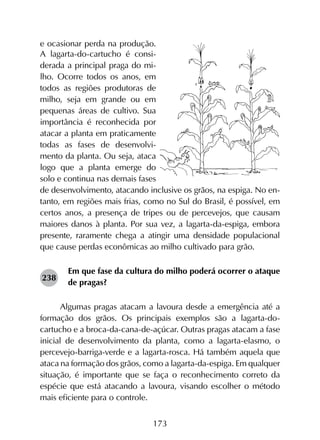 173
e ocasionar perda na produção.
A lagarta-do-cartucho é consi-
derada a principal praga do mi-
lho. Ocorre todos os anos, em
todos as regiões produtoras de
milho, seja em grande ou em
pequenas áreas de cultivo. Sua
importância é reconhecida por
atacar a planta em praticamente
todas as fases de desenvolvi-
mento da planta. Ou seja, ataca
logo que a planta emerge do
solo e continua nas demais fases
de desenvolvimento, atacando inclusive os grãos, na espiga. No en-
tanto, em regiões mais frias, como no Sul do Brasil, é possível, em
certos anos, a presença de tripes ou de percevejos, que causam
maiores danos à planta. Por sua vez, a lagarta-da-espiga, embora
presente, raramente chega a atingir uma densidade populacional
que cause perdas econômicas ao milho cultivado para grão.
Em que fase da cultura do milho poderá ocorrer o ataque
de pragas?
Algumas pragas atacam a lavoura desde a emergência até a
formação dos grãos. Os principais exemplos são a lagarta-do-
cartucho e a broca-da-cana-de-açúcar. Outras pragas atacam a fase
inicial de desenvolvimento da planta, como a lagarta-elasmo, o
percevejo-barriga-verde e a lagarta-rosca. Há também aquela que
ataca na formação dos grãos, como a lagarta-da-espiga. Em qualquer
situação, é importante que se faça o reconhecimento correto da
espécie que está atacando a lavoura, visando escolher o método
mais eficiente para o controle.
238
 