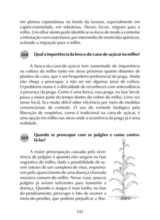 191
em plantas espontâneas na borda da lavoura, especialmente em
capim-marmelada, em reboleiras. Desses locais, migram para o
milho. Um olhar atento pode identificar os focos de modo a controlar
a infestação com custo baixo, por intermédio de inseticidas químicos,
evitando a migração para o milho.
Qual a importância da broca-da-cana-de-açúcar no milho?
A broca-da-cana-de-açúcar tem aumentado de importância
na cultura do milho tanto em áreas próximas quanto distantes de
plantios de cana, que é um hospedeiro preferencial da praga. Ainda
não chega a preocupar, a não ser em algumas áreas de cultivo.
O problema maior é a dificuldade de reconhecer com antecedência
a presença da praga. Como é uma broca, essa praga, na fase larval,
passa a maior parte do tempo dentro do colmo do milho. Uma vez
nesse local, fica muito difícil obter eficiência por meio de medidas
convencionais de controle. O uso do controle biológico pela
liberação de vespinhas, como é tradicional na cana-de açúcar, é
uma opção em milho nas áreas onde a ocorrência da praga já é uma
realidade.
Quando se preocupar com os pulgões e como contro-
lá-los?
A maior preocupação causada pela ocor-
rência de pulgões é quando eles surgem na fase
vegetativa do milho, dada a possibilidade de se-
rem vetores de um complexo de vírus, responsá-
veis pelo aparecimento de uma doença chamada
mosaico-comum-do-milho. Nesse caso, poucos
pulgões já seriam suficientes para transmitir a
doença. Quando o ataque é mais tardio, na fase
do pendoamento, preocupa o fato de ocorrer a
mela-do-pendão, que poderia prejudicar a libe-
269
268
 