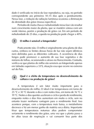 21
dade é verificada no início da fase reprodutiva, ou seja, no período
correspondente aos primeiros 10–15 dias após o pendoamento.
Nessa fase, a redução da radiação luminosa ocasiona a diminuição
da densidade dos grãos (massa específica).
Períodos de muita chuva e nebulosidade nessa fase vão resultar
num crescimento maior da planta, que se mantém vistosa com um
verde intenso, porém a produção de grãos cai. Em um período de
nebulosidade de 25 dias, a queda na produção pode chegar a 40%.
O milho é sensível a fotoperíodo?
Praticamente não. O milho é originalmente uma planta de dias
curtos, embora os limites dessas horas de luz não sejam idênticos
nem definidos para as diferentes cultivares. A ocorrência de dias
longos pode promover o aumento de sua fase vegetativa e do
número de folhas, ocasionando o atraso no florescimento. Contudo,
verifica-se que plantas de milho são sensíveis ao fotoperíodo apenas
em latitudes superiores a 33o
S, situação essa que ocorre no extremo
sul do País.
Qual é o efeito da temperatura no desenvolvimento da
cultura e na produção de grãos?
A temperatura é um fator muito importante para o
desenvolvimento do milho. O ideal é ter temperaturas em torno de
25 °C e 30 °C durante o dia e com noites frias, em torno de 16 °C e
19 °C. Noites e dias quentes aceleram o ciclo e perda de rendimento,
enquanto noites e dias frios aumentam em muito o ciclo, sem no
entanto trazer nenhuma vantagem para o rendimento final. Isso
acontece porque, com a temperatura mais baixa, o metabolismo
decresce e há um menor ganho de matéria seca diária. Importante
frisar que temperaturas noturnas altas podem comprometer
seriamente o rendimento dos grãos, uma vez que a planta passa a
ter altas taxas de respiração e vai consumir boa parte dos
3
4
 