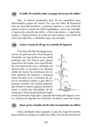 205
O milho Bt controla todas as pragas da lavoura de milho?
Não. As toxinas produzidas pelo Bt são específicas para
determinados grupos de insetos. No caso do milho Bt disponível
hoje no mercado brasileiro, a proteína expressa a ação inseticida
apenas contra os insetos da ordem lepidóptera, como, por exemplo,
a lagarta-do-cartucho-do-milho, a broca-do-colmo, a lagarta-da-
espiga e a lagarta-elasmo. Já existe em outros países outra toxina Bt
com ação específica a Diabrotica spp., por exemplo.
Como a toxina do Bt age no controle de lagartas?
A bactéria Bacillus thuringiesis pos-
sui em seu genoma uma classe de genes
chamados cry, que produz na sua célula
proteínas que são tóxicas para grupos
específicos de insetos. Essa especificida-
de está relacionada com a atividade das
toxinas entre os receptores no intestino
médio do inseto. Na membrana das cé-
lulas epiteliais do intestino, a interação
toxina-receptor leva à formação de po-
ros na membrana celular, o que altera o
balanço osmótico das células epiteliais,
que incham e sofrem rupturas, levando o
inseto à morte por dificuldade de ali-
mentação e infecção generalizada (septi-
cemia). Entretanto, logo após a ingestão da toxina pela lagarta, ocor-
re a inibição da ingestão dos alimentos, levando à morte do inseto.
Quais genes oriundos do Bt estão incorporados no milho?
Várias novidades estão surgindo a cada ano. Especificamente,
para resistência a pragas na cultura do milho, há mais de uma dezena
289
290
291
 
