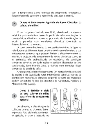 23
com a temperatura (soma térmica) do subperíodo emergência-
florescimento do que com o número de dias após o cultivo.
O que é Zoneamento Agrícola de Risco Climático da
cultura do milho?
É um programa iniciado em 1996, objetivando apresentar
subsídios para minimizar riscos de perda de safras em função de
características climáticas adversas, por meio da identificação de
locais e períodos com condições climáticas favoráveis ao
desenvolvimento da cultura.
A partir do conhecimento da necessidade mínima de água no
solo durante as diferentes fases de desenvolvimento da cultura e das
temperaturas extremas que possam limitar o desenvolvimento da
mesma, o programa de zoneamento de riscos climáticos baseia-se
na estimativa da probabilidade de ocorrência de condições
climáticas adversas em cada região e período (decêndio) do ano
considerado, identificando áreas e épocas com menores riscos
climáticos de perda de safra.
O programa atualmente representa um norteador da aplicação
de crédito e da seguridade rural. Informações sobre as épocas de
plantio com menor risco climático de perda de safra por município
podem ser obtidas no sítio do Ministério da Agricultura, Pecuária e
Abastecimento (Mapa).
Como é definido o ciclo
de uma cultivar de milho
para efeito de zoneamento
agrícola?
Atualmente, a classificação de
cultivares quanto ao ciclo não é mui-
to precisa. Para efeito do zoneamen-
to agrícola, o ciclo é baseado no
7
8
 