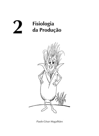 Fisiologia
da Produção
Paulo César Magalhães
2
 