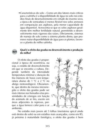 315
•	Características do solo – Como um dos fatores mais críticos
para a safrinha é a disponibilidade de água no solo nos está-
dios finais de desenvolvimento em virtude do inverno seco,
a época de semeadura é menos flexível nos solos arenosos
em comparação aos argilosos, pela menor capacidade de
água disponível. Acrescenta-se que os solos argilosos geral-
mente têm melhor fertilidade natural, permitindo o desen-
volvimento mais vigoroso das raízes. Obviamente, sistemas
de manejo de solo como o sistema plantio direto, que pro-
move maior disponibilidade de água para as plantas, favore-
ce o plantio de milho safrinha.
Qual é o efeito das geadas no desenvolvimento e produção
do milho?
O efeito das geadas é propor-
cional à época de ocorrência, ou
seja, o estádio de desenvolvimento
em que se encontra a cultura. De-
pende também da intensidade
(temperatura mínima) e duração do
frio (número de horas com tempe-
ratura abaixo de 1 °C a 2 °C no
abrigo meteorológico). Obviamen-
te, que dentro da mesma microrre-
gião o efeito das geadas pode ser
mais intenso nas baixadas e/ou pro-
ximidades de córregos em função
do acúmulo de ar frio, exceto em
áreas adjacentes às represas, por-
que a água fornece calor para o ar
ambiente.
No estádio mais jovem até 5 folhas (meristema apical ainda
está dentro do solo) ou em estádios mais avançados, como em R5,
já próximo à maturidade fisiológica, o efeito das geadas é bem
469
 