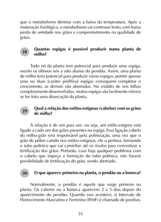 35
que o metabolismo diminui com a baixa da temperatura. Após a
maturação fisiológica, o metabolismo vai continuar lento, com baixa
perda de umidade nos grãos e comprometimento na qualidade de
grãos.
Quantas espigas é possível produzir numa planta de
milho?
Todo nó da planta tem potencial para produzir uma espiga,
exceto os últimos seis a oito abaixo do pendão. Assim, uma planta
de milho teria potencial para produzir várias espigas, porém apenas
uma ou duas (caráter prolífico) espigas conseguem completar o
crescimento, as demais são abortadas. No estádio de seis folhas
completamente desenvolvidas, muitas espigas são facilmente visíveis
se for feita uma dissecação da planta.
Qual a relação dos estilos-estigmas (cabelos) com os grãos
de milho?
A relação é de um para um, ou seja, um estilo-estigma está
ligado a cada um dos grãos presentes na espiga. Essa ligação cabelo
do milho-grão será responsável pela polinização, uma vez que o
grão de pólen caindo nos estilos-estigmas, ele o perfura, formando
o tubo polínico que vai caminhar até os óvulos para concretizar a
fertilização dos grãos. Portanto, caso haja qualquer problema com
o cabelo que impeça a formação do tubo polínico, não haverá
possibilidade de fertilização do grão, sendo abortado.
O que aparece primeiro na planta, o pendão ou a boneca?
Normalmente, o pendão é aquele que surge primeiro na
planta. Os cabelos ou a boneca aparecem 2 a 5 dias depois do
aparecimento do pendão. Quando isso acontece, o Intervalo de
Florescimento Masculino e Feminino (IFMF) é chamado de positivo.
28
29
30
 