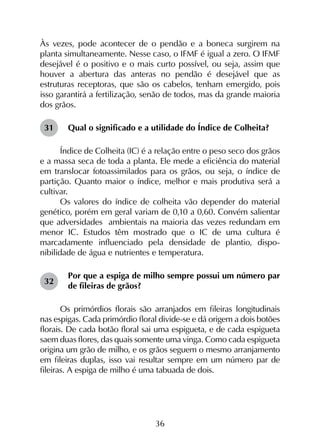 36
Às vezes, pode acontecer de o pendão e a boneca surgirem na
planta simultaneamente. Nesse caso, o IFMF é igual a zero. O IFMF
desejável é o positivo e o mais curto possível, ou seja, assim que
houver a abertura das anteras no pendão é desejável que as
estruturas receptoras, que são os cabelos, tenham emergido, pois
isso garantirá a fertilização, senão de todos, mas da grande maioria
dos grãos.
Qual o significado e a utilidade do Índice de Colheita?
Índice de Colheita (IC) é a relação entre o peso seco dos grãos
e a massa seca de toda a planta. Ele mede a eficiência do material
em translocar fotoassimilados para os grãos, ou seja, o índice de
partição. Quanto maior o índice, melhor e mais produtiva será a
cultivar.
Os valores do índice de colheita vão depender do material
genético, porém em geral variam de 0,10 a 0,60. Convém salientar
que adversidades ambientais na maioria das vezes redundam em
menor IC. Estudos têm mostrado que o IC de uma cultura é
marcadamente influenciado pela densidade de plantio, dispo­
nibilidade de água e nutrientes e temperatura.
Por que a espiga de milho sempre possui um número par
de fileiras de grãos?
Os primórdios florais são arranjados em fileiras longitudinais
nas espigas. Cada primórdio floral divide-se e dá origem a dois botões
florais. De cada botão floral sai uma espigueta, e de cada espigueta
saem duas flores, das quais somente uma vinga. Como cada espigueta
origina um grão de milho, e os grãos seguem o mesmo arranjamento
em fileiras duplas, isso vai resultar sempre em um número par de
fileiras. A espiga de milho é uma tabuada de dois.
31
32
 